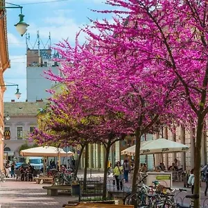 downtown-dream-apartmans.szeged-hotels.com/